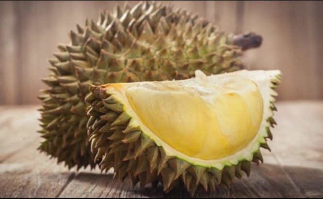 arenagempak.com - Bau Barang Berisiko Tinggi (Durian) Sebabkan Huru Hara Di Jerman, 12 Pekerja Terpaksa Menerima Rawatan