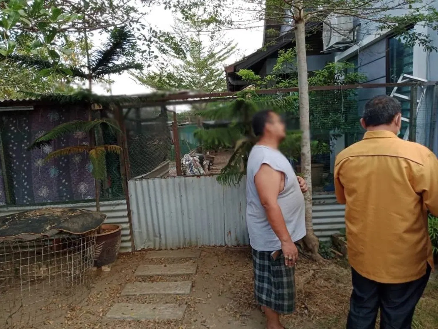 arenagempak.com - Lelaki Ternak Ayam Di Taman Perumahan Didenda 