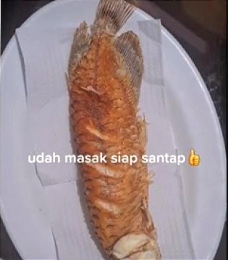 Kesal Suami Tak Mahu Bersihkan Akuarium, Isteri Goreng Ikan Arowana - arenagempak.com