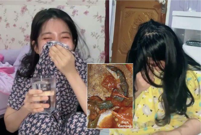 Dah Nak Habis Dimakan, Gadis Yang Berselera Makan Bertukar Trauma Selepas Menemui Bangkai Cicak Dalam Sambal