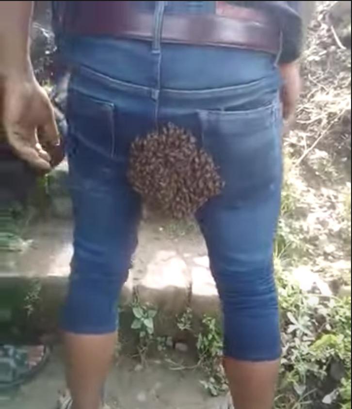 Punggung Seorang Lelaki Dikerumuni Sekumpulan Lebah Yang Mahu Bersarang 
