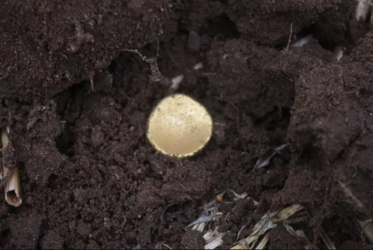 Penemuan Syiling Emas Berusia 2,000 Tahun Cipta Sejarah Penemuan Terbesar - arenagempak.com