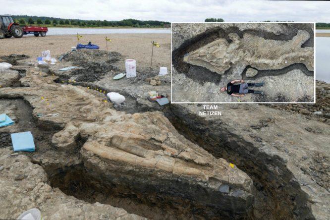 Fosil Naga Laut Gergasi Berusia 180 Juta Tahun Ditemui Dan Menjadi Penemuan Terbesar Di Britain