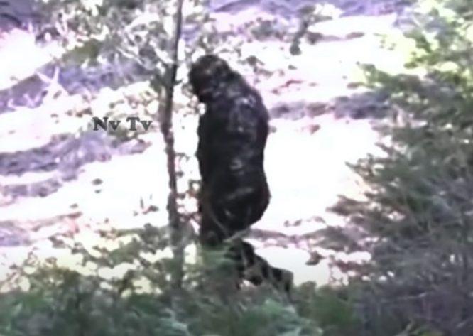 Makhluk 'Bigfoot' Bersaiz Besar Dan Gagah Didakwa Ditemui Di Idaho