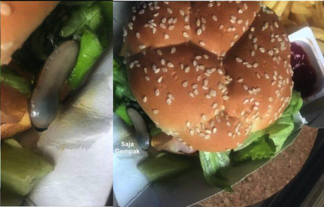 Beli Burger Di Restoran Makanan Segera Terkenal, Pelanggan Terkejut Jumpa Lintah Dalam Isi Burger