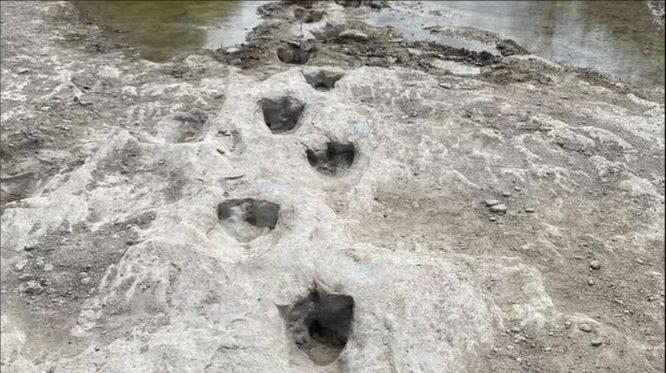 Penemuan Jejak Tapak Kaki Dinosaur Berusia 113 Juta Tahun Dijumpai Di Dasar Sungai Kering Akibat Kemarau